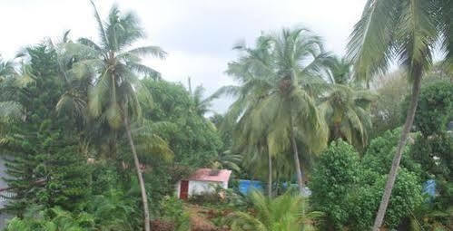 Gabriel Guest House Calangute Dış mekan fotoğraf